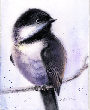 Chickadee