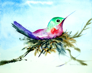 Hummingbird Nesting