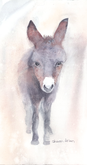 Donkey in the Mist